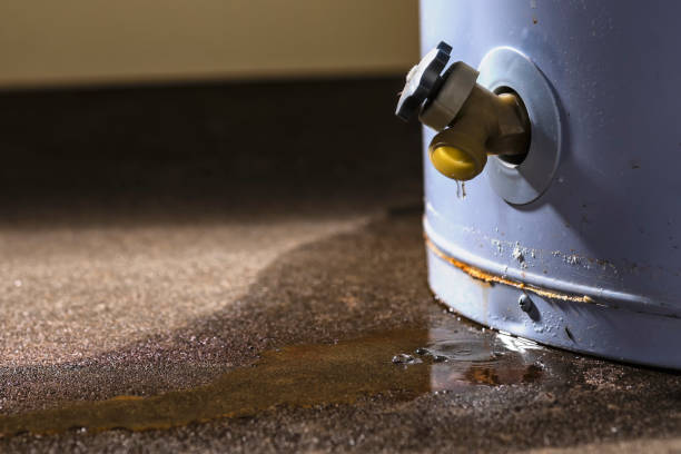 Best Mold removal after water damage  in Hazel Dell, WA