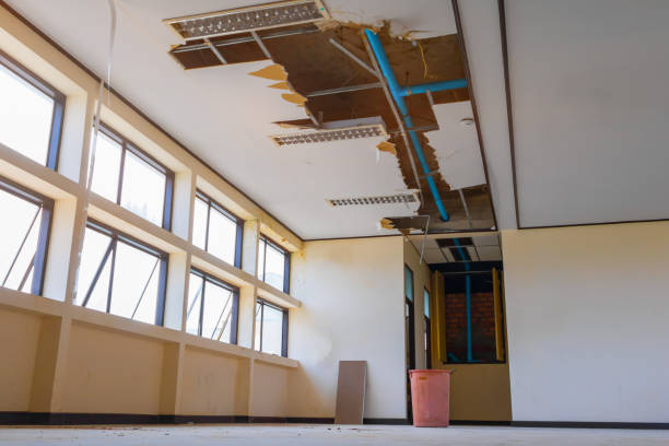 Best Sewage cleanup and water damage restoration  in Hazel Dell, WA