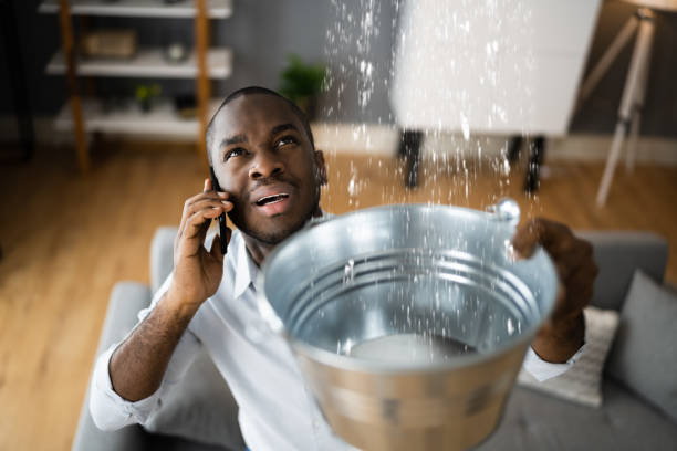 Best Water damage cleanup near me  in Hazel Dell, WA