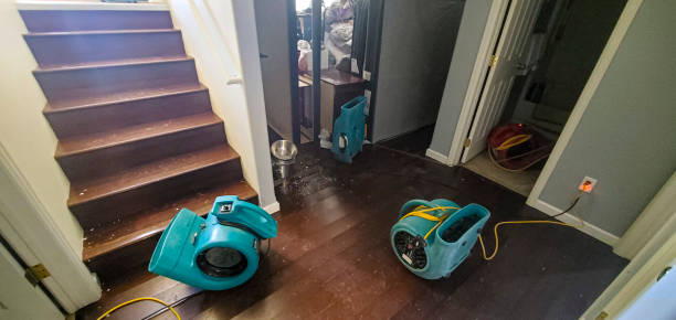 Best Flood damage cleanup  in Hazel Dell, WA