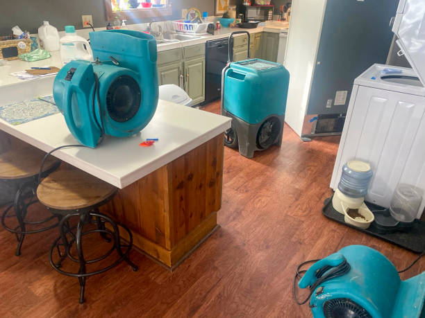 Best 24-hour water damage restoration  in Hazel Dell, WA