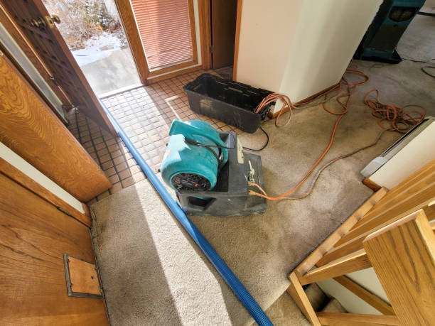 Best Water damage restoration near me  in Hazel Dell, WA