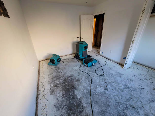 Best 24/7 water damage repair  in Hazel Dell, WA