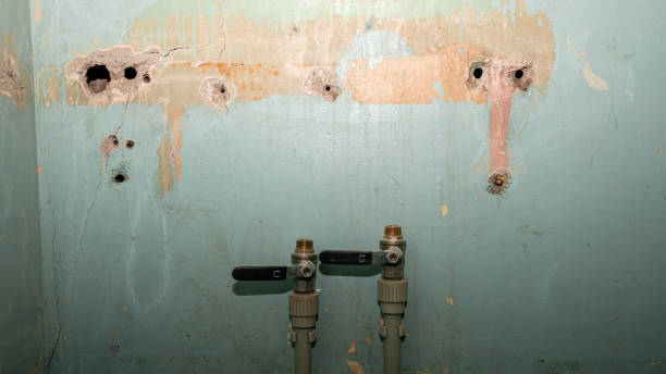 Water damage restoration mold remediation in Hazel Dell, WA