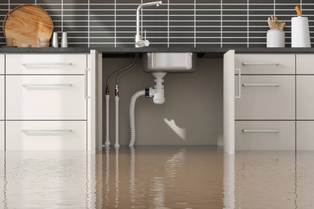 Reliable Hazel Dell, WA Water damage restoration Solutions