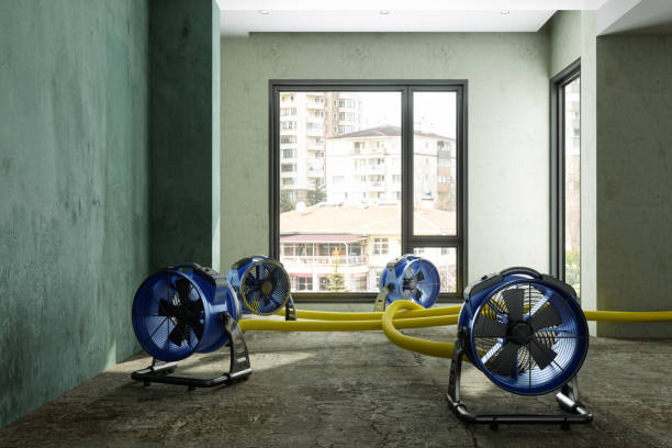 Best Water damage contractors near me  in Hazel Dell, WA