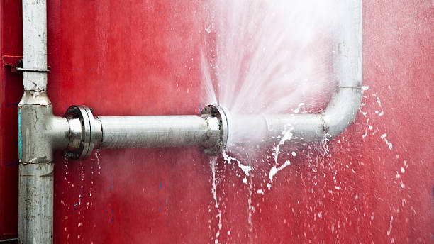 Best Flood restoration services  in Hazel Dell, WA